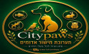 6a5df71cd6fba