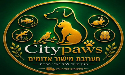 CityPaws