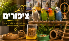 ציפורים