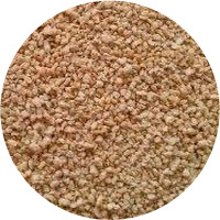 RUSK – מזון גרגירי איכותי לציפורי כלוב וציפורי נוי דלי 5 ק