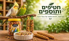 חטיפים ותוספים