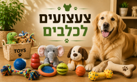 צעצועים לכלבים