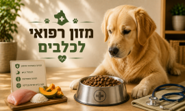 מזון רפואי לכלבים